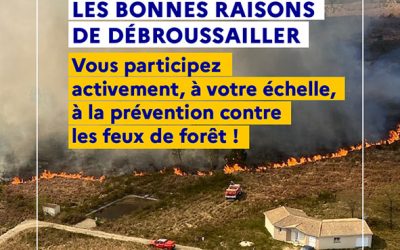 Débroussailler chaque année, c’est obligatoire et c’est investir pour votre sécurité.