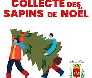 Collecte des sapins de Noël