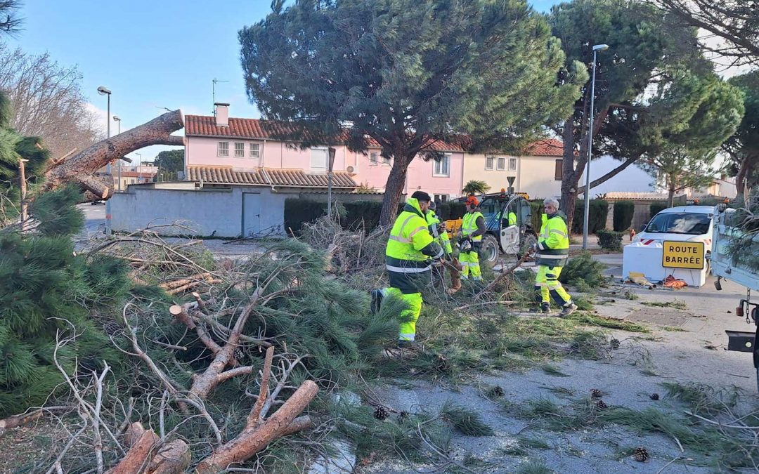 TEMPÊTE NILS – Les équipes municipales pleinement mobilisées